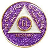 11 Year Purple Glitter Tri-Plate Alcoholics Anonymous Medallion- AA Sobriety Chi