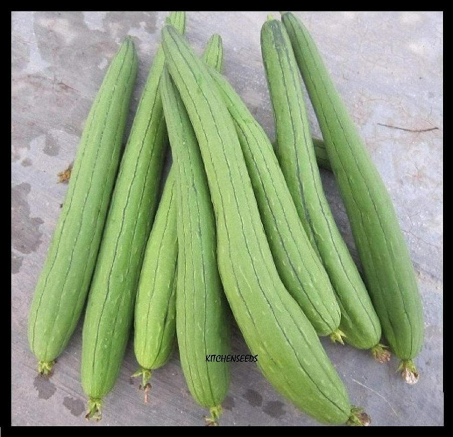 20 Seeds Asian Vegetable Edible Luffa long Smooth sponge gourd