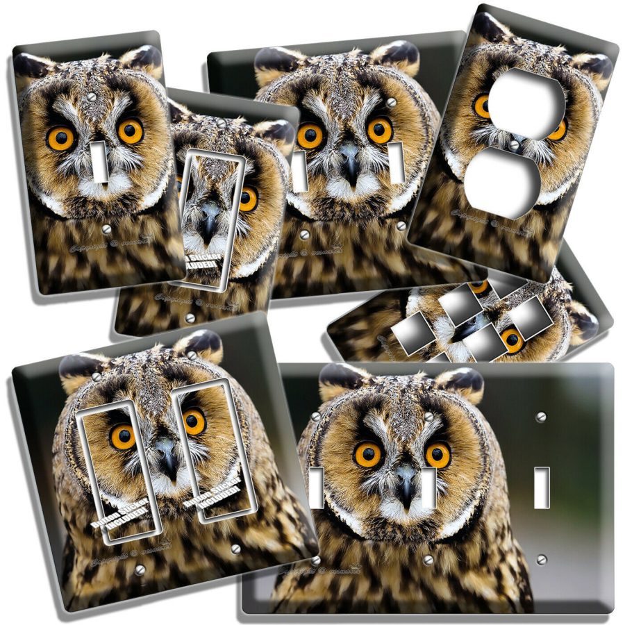 BEAUTIFUL EARED OWL WILD BIRD LIGHT SWITCH OUTLET WALL COVER PLATE ROOM HD DECOR