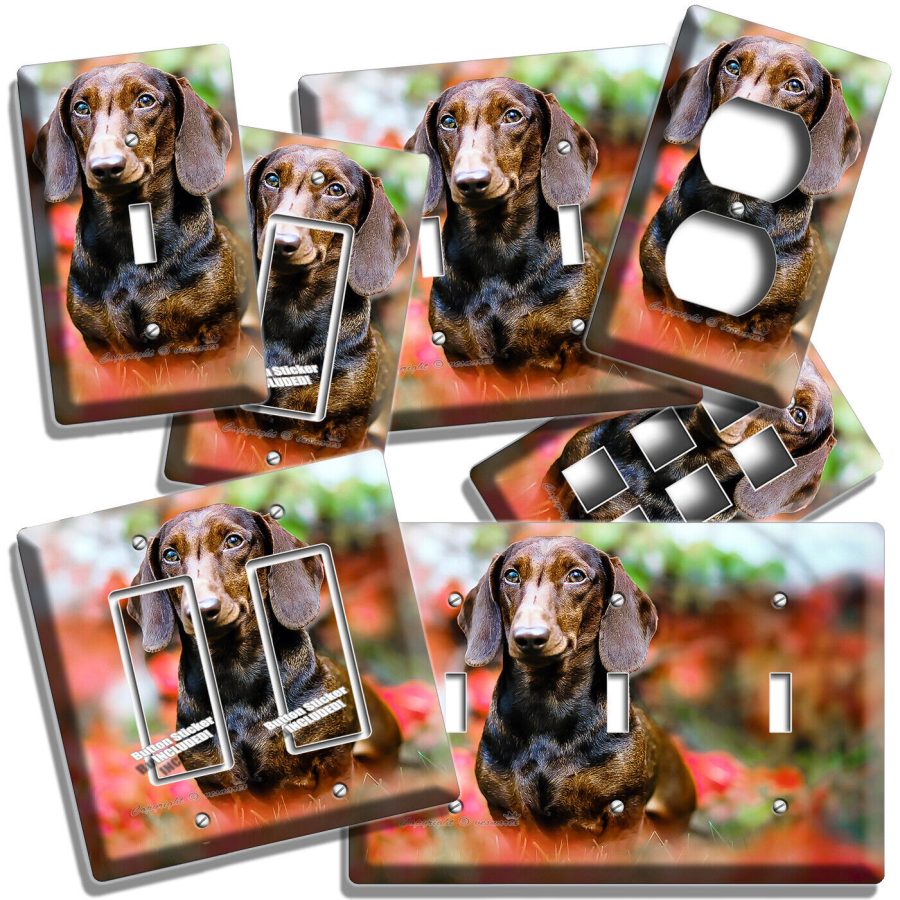 BROWN DACHSHUND HOUND WEINER DOG LIGHT SWITCH OUTLET WALL PLATES PET SHOP HD ART