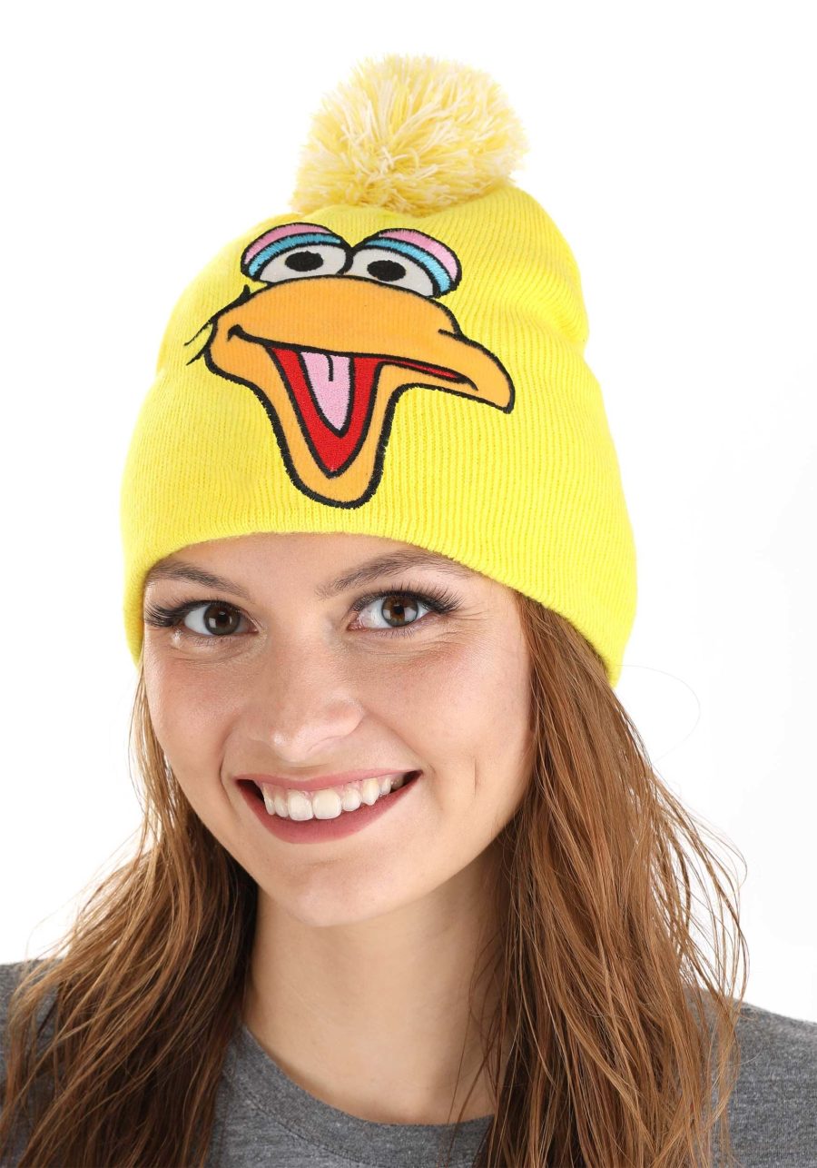 Big Bird Pom Winter Hat