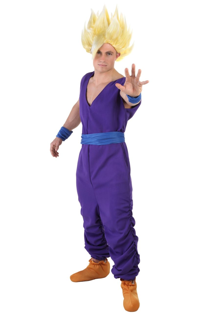 DBZ Adult Gohan Costume