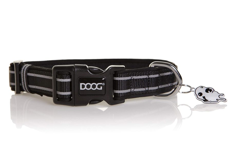 DOOG COLBFL-M Soft and Breathable Neoprene Padded Adjustable Dog Collar Available: XSmall, Small, Medium, and Large Dogs and Puppies for Walking, Running, Water Friendly Pool Lake Beach Swimming