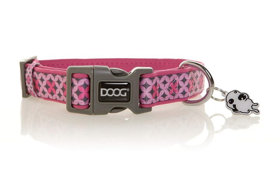 DOOG COLPBS-M Soft and Breathable Neoprene Padded Adjustable Dog Collar Available: XSmall, Small, Medium, and Large Dogs and Puppies for Walking, Running, Water Friendly Pool Lake Beach Swimming