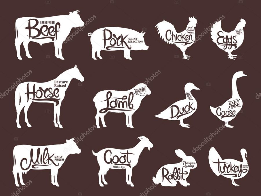 Farm Animals Silhouettes Collection. Butchery Labels Templates