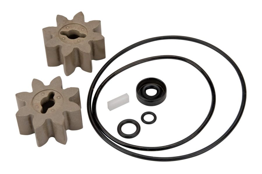 GPI 13750005 Overhaul Kit for EZ-8 Fuel Transfer Pump Manufactured on or Before Jan. 8, 2016, Motor Shaft Key, Two Gears, and Replacement Seals