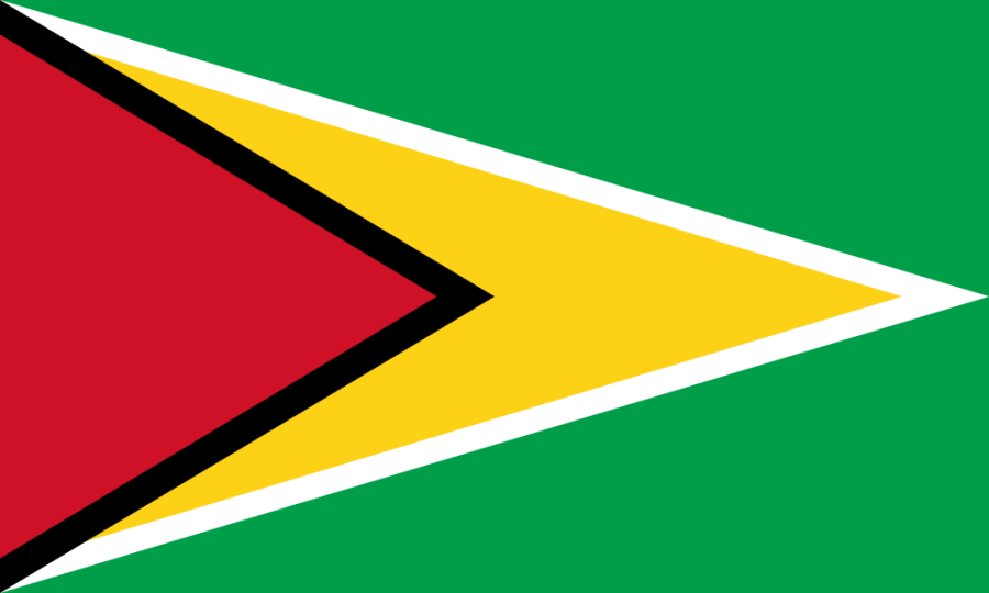 Guyana Flag - 4x6 Inch