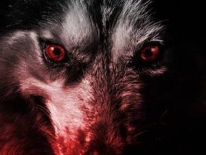 HELLHOUND CONJURING SPELL! PROTECTION! CONFIDENCE! STAMINA! PERSONAL POWER!