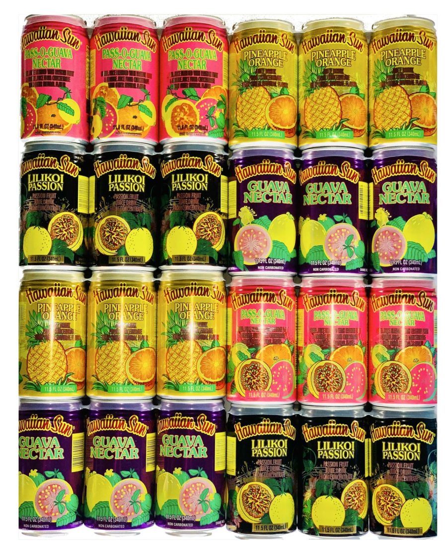 Hawaiian Sun Drinks 24 Pack Sampler (6 cans of 4 Flavors)