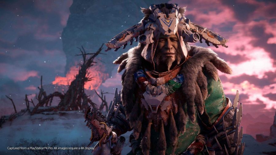 Horizon Zero Dawn - The Frozen Wilds DLC EU PS4 / PS5 Key