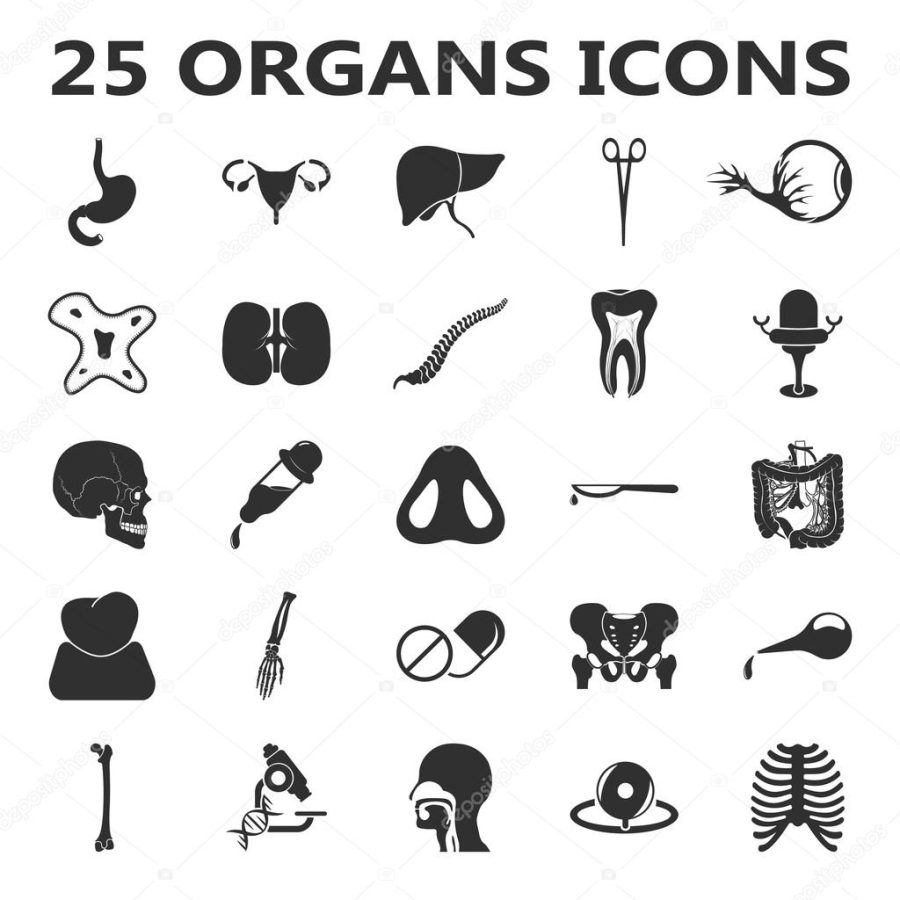 Organs set 25 black simple icons. Body, anatomy, medical icon design for web and mobile.