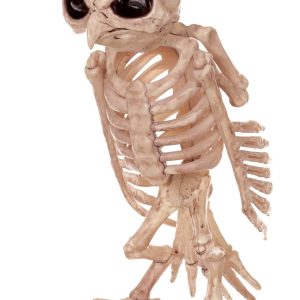 Owl Skeleton Halloween Decoration