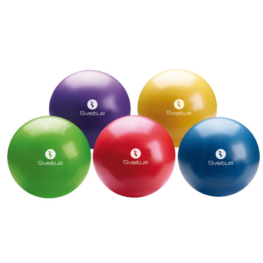 Sveltus Gym Ball + Box