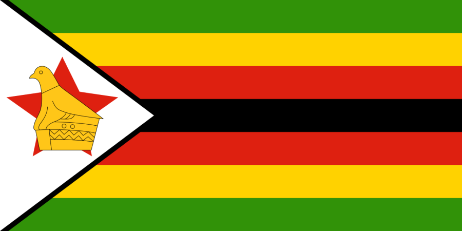 Zimbabwe Flag - 12x18 Inch