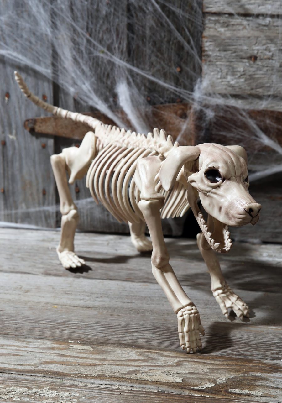 20-Inch Beagle Bonez Dog Skeleton Decoration