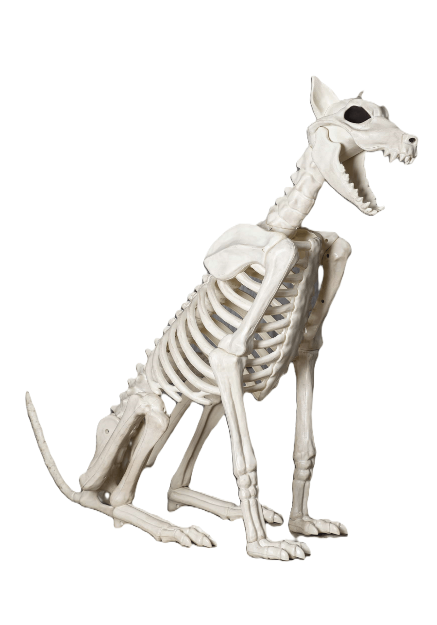 3.8FT Spike the Skeleton Dog Halloween Prop