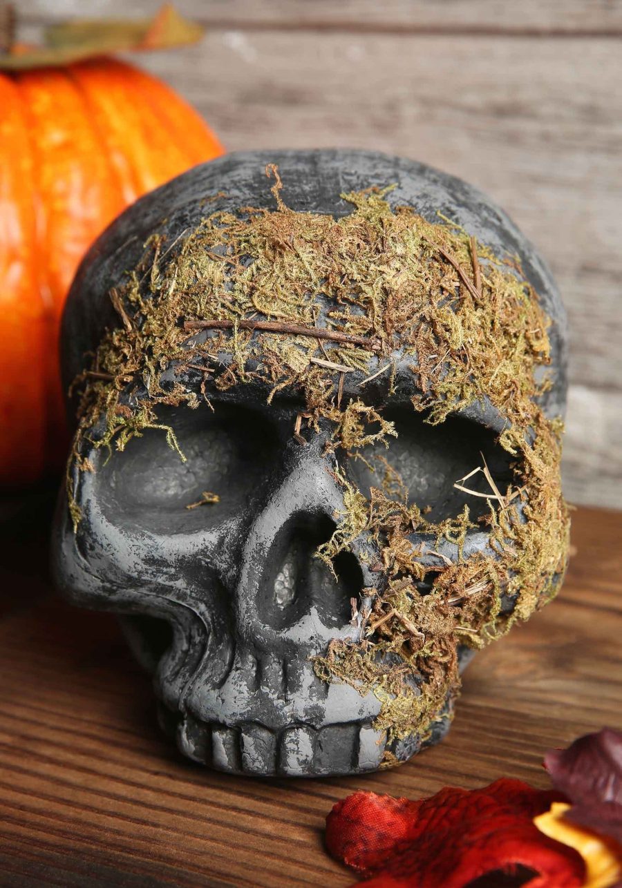 7-Inch Moss Covered Skull Prop