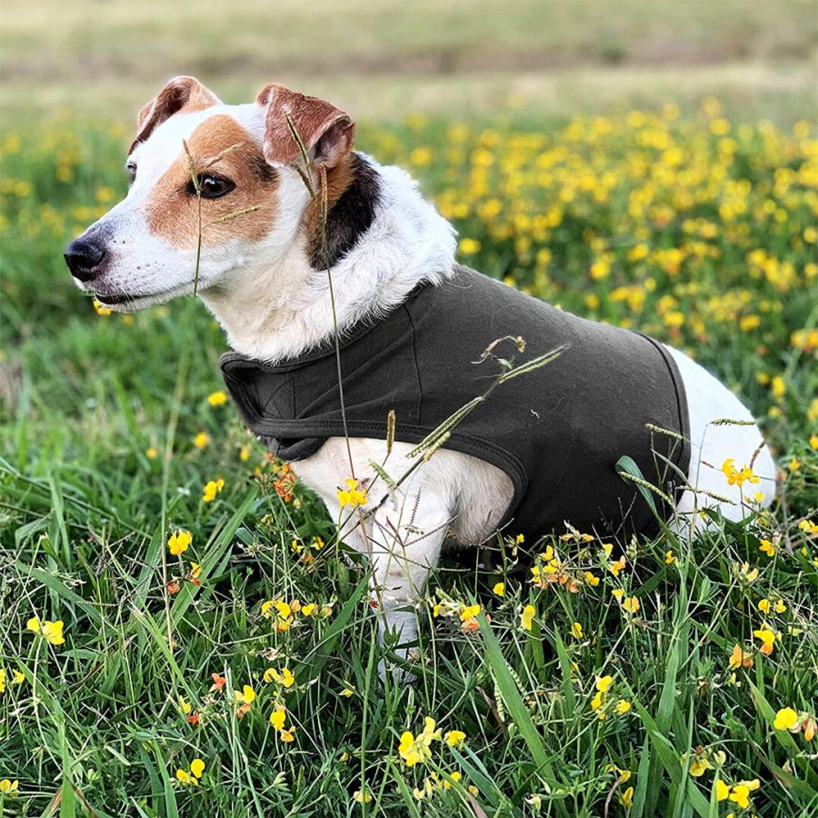 Anti-Anxiety Dog Vest