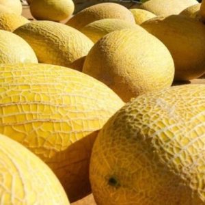 Best 25 Seeds Hami Melon Fast Growing Sweet Tasting Farm Planting Garden