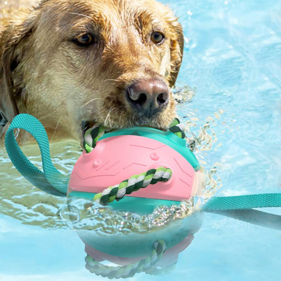 Bouncing Frisbee Ball Interactive Dog Toy