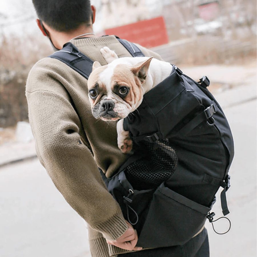 Breathable Dog Backpack