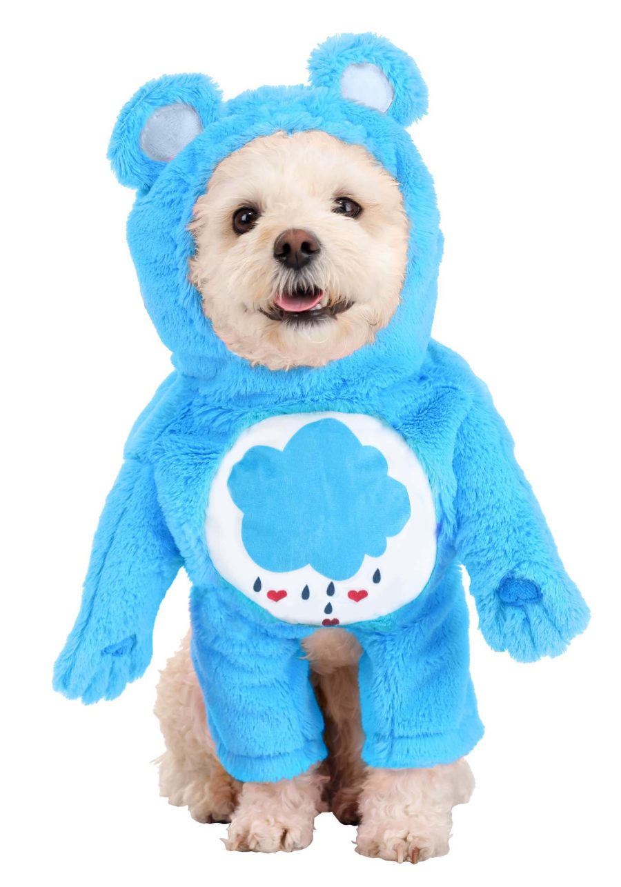 Care Bears Grumpy Bear Dog Costume