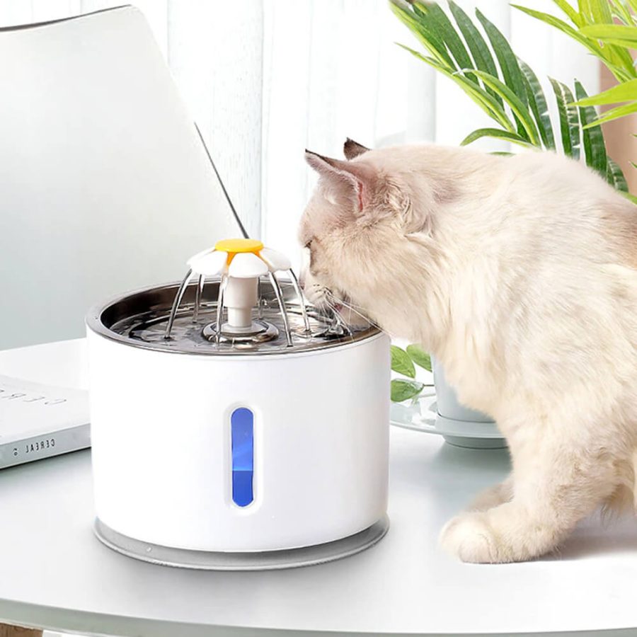 Cat Water Fountain