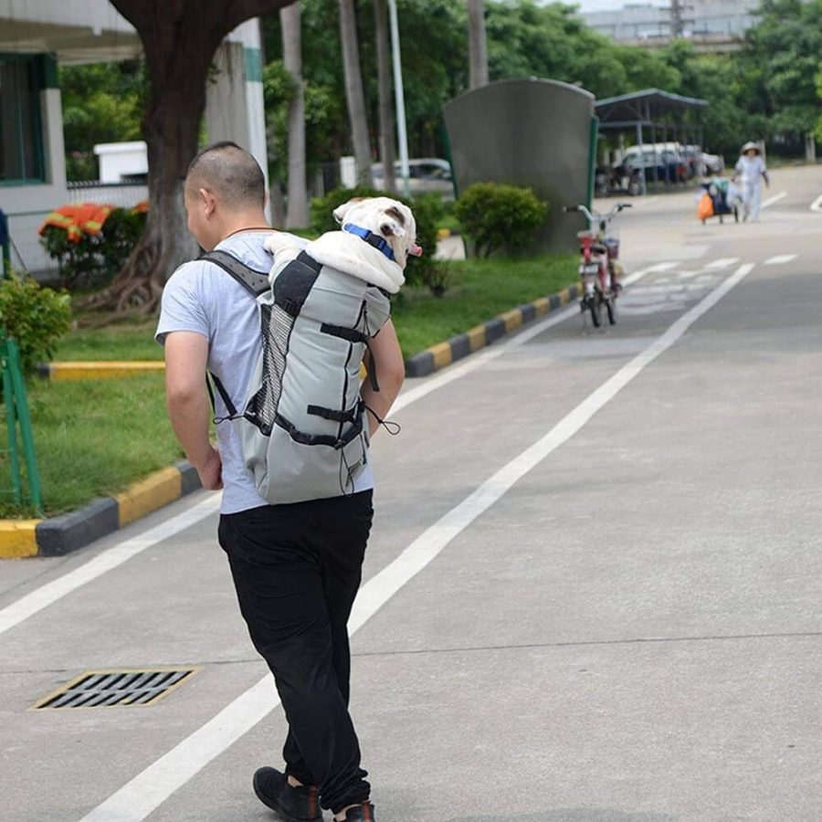 Dog Backpack Sack Carrier