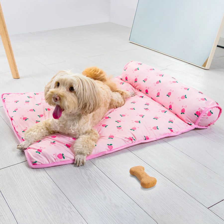 Dog Cooling Sofa Bed