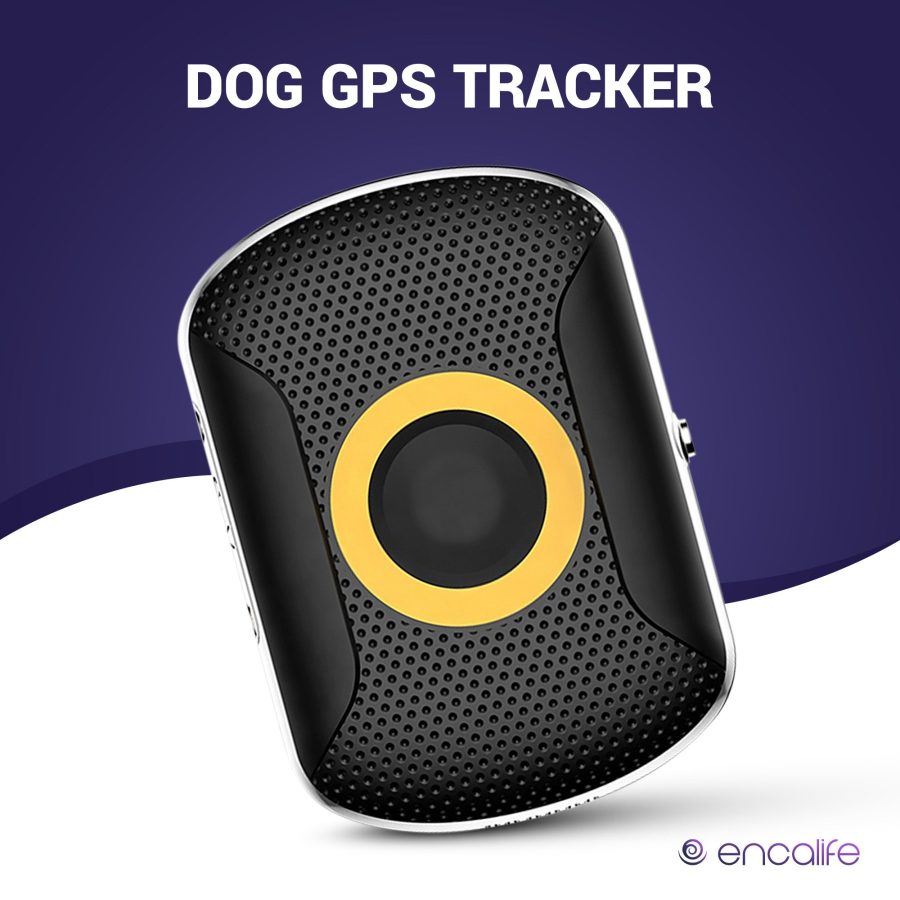 Dog GPS Tracker Collar | 4G Dog Fence