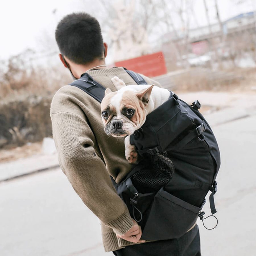 Dog Holder Backpack