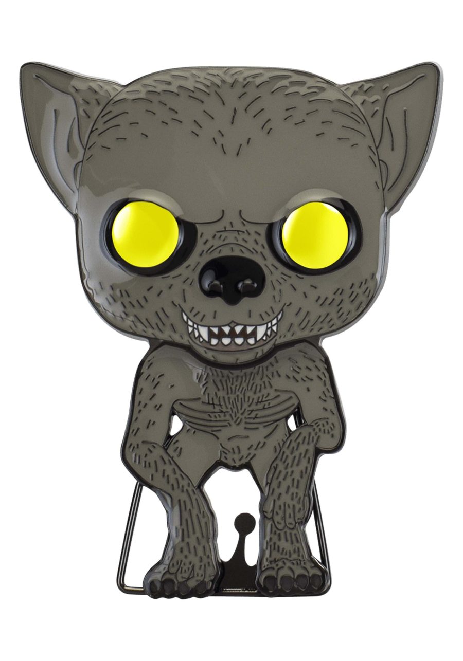 Funko Pop Pin Harry Potter: Remus Lupin