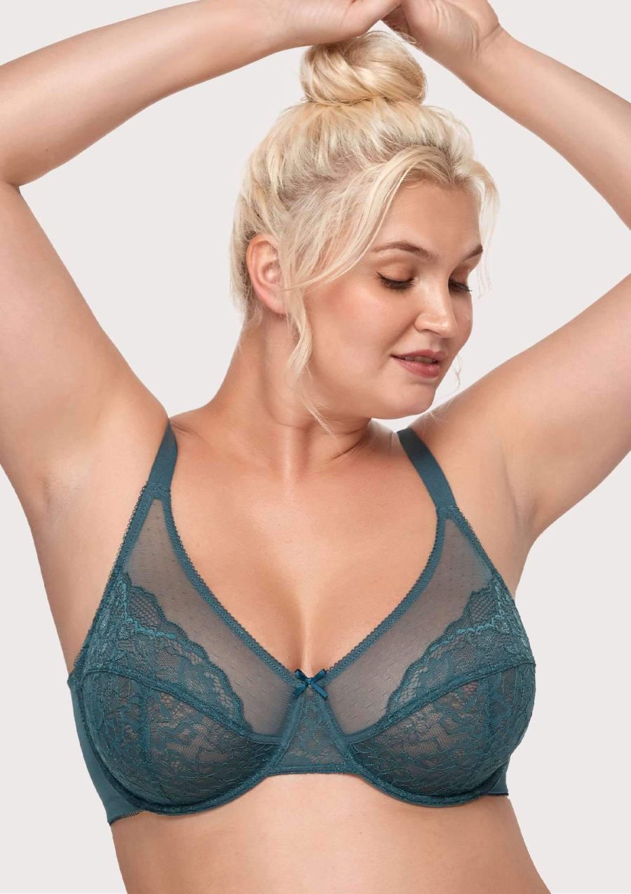 HSIA Enchante Bra and Underwear Set: Sexy, Comfortable See-Through Bra - Balsam Blue / 46 / D