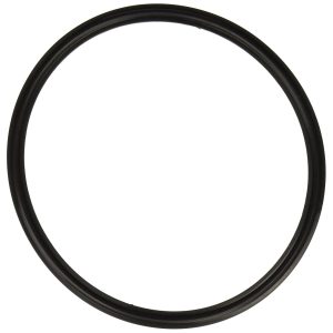 Hayward SPX0540Z2 Lens Gasket Replacement for Hayward Underwater Lights