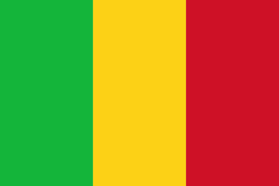 Mali Flag - 12x18 Inch