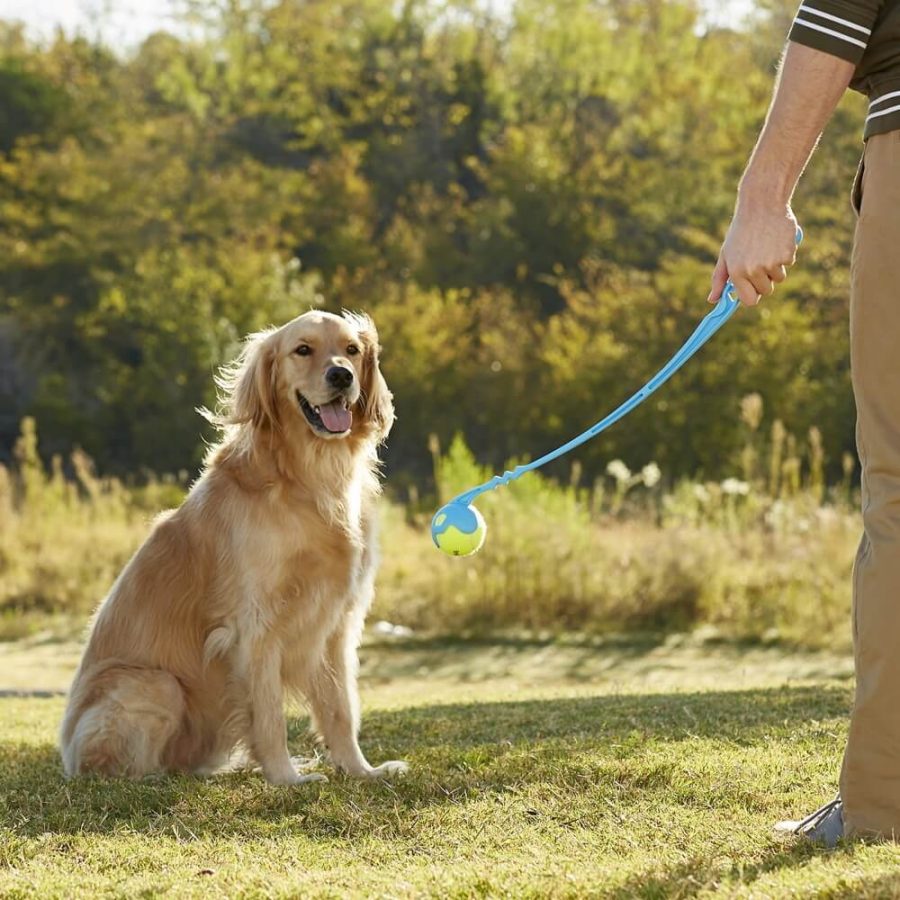 Manual Dog Ball Launcher & Thrower