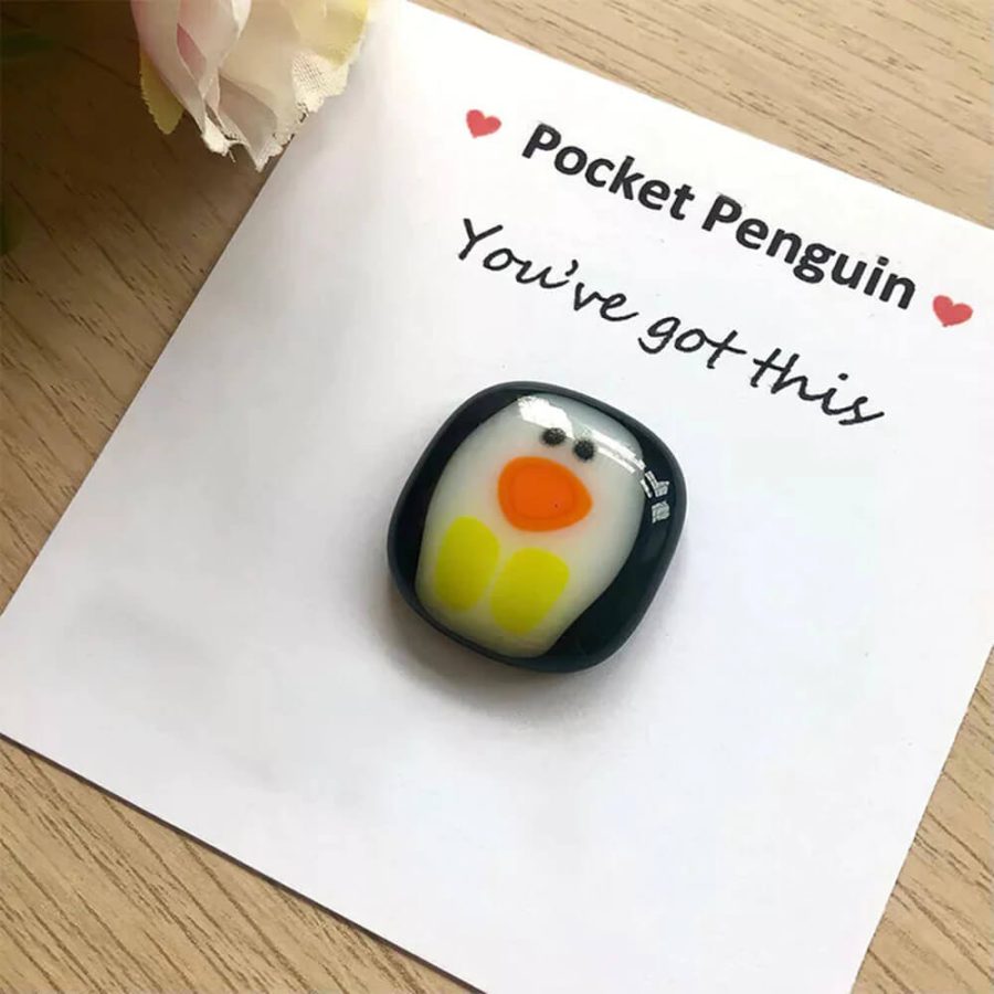 Mini Pocket Penguin Care-Bringing Hug