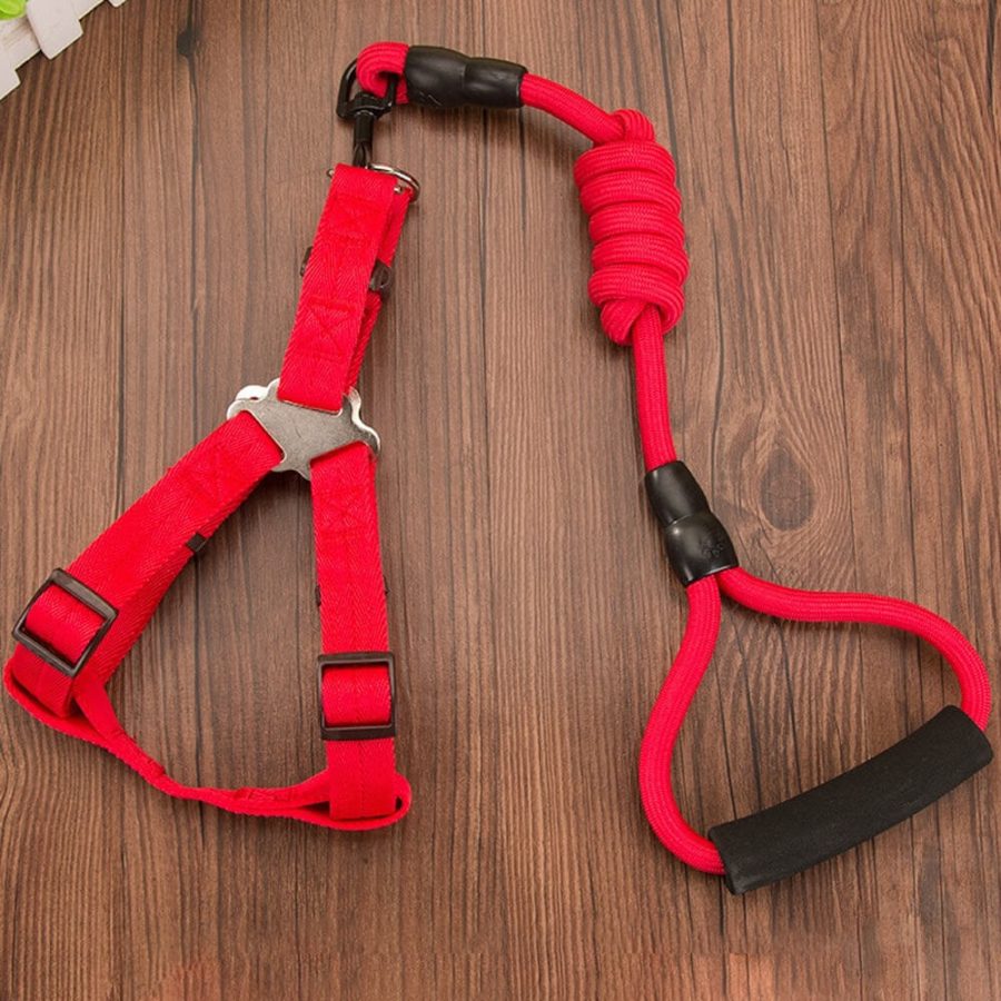 Nylon Rope Dog Leash