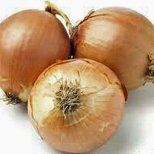 ONION SEED, SPANISH YELLOW, HEIRLOOM, ORGANIC, NON GMO, 100 SEEDS, ONIONS