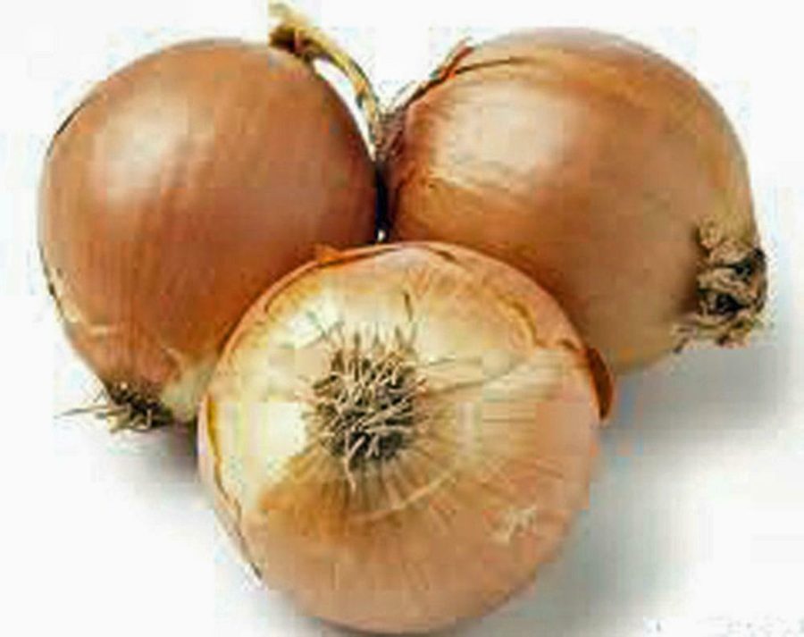 ONION SEED, SPANISH YELLOW, HEIRLOOM, ORGANIC, NON GMO, 100 SEEDS, ONIONS