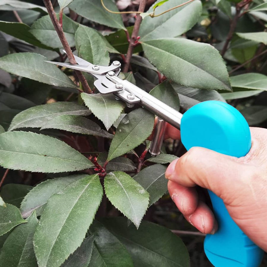 Portable Pointed Gardening Scissors