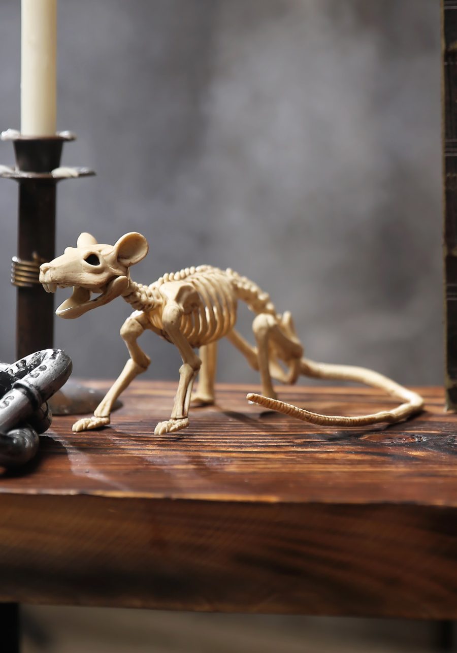 Poseable Rat Skeleton Prop