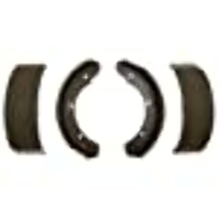 RAYBESTOS 1050PG Professional Grade Brake Shoe Set