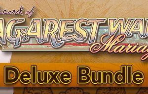 Record of Agarest War Mariage Deluxe Bundle | デラックスエディション | 數位豪華版 | 数位豪华版 Steam Key