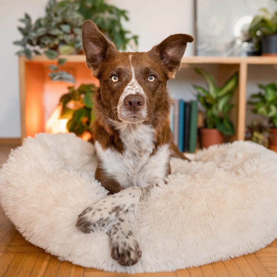 Round Faux Fur Pet Bed