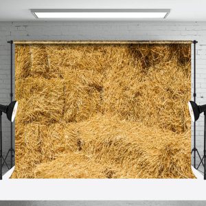 Rustic Yellow Hay Autumn Backdrop For Photo Booth - Aperturee