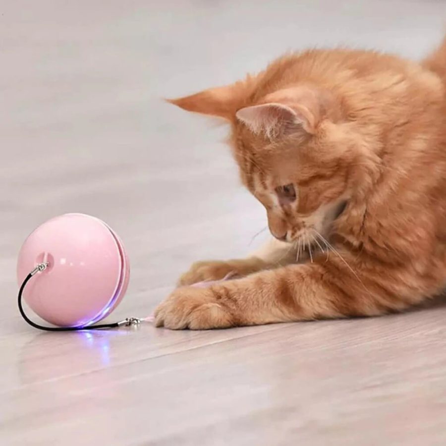 Smart Interactive Self-Rotating Cat Toy Ball