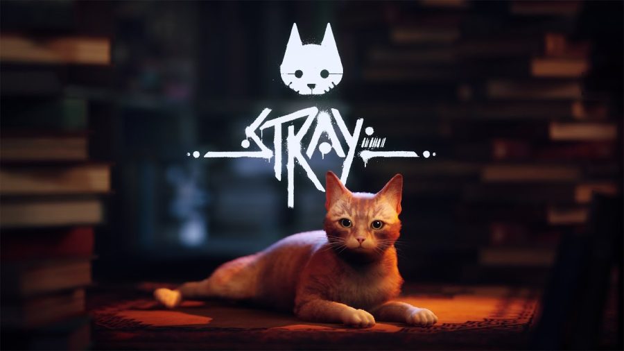 Stray for Xbox One/Series X (EU & UK)