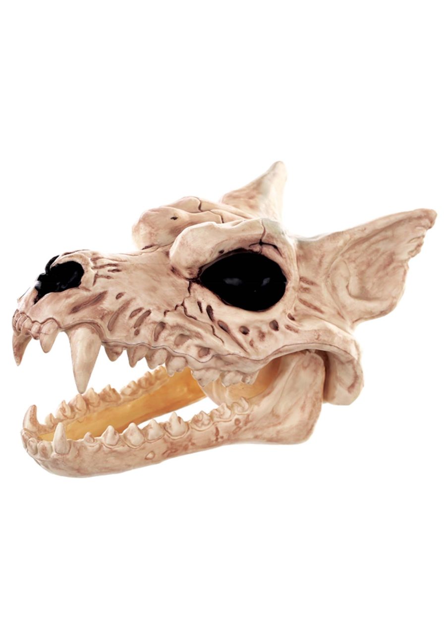 Wolf Skull 7 Inch Halloween Decoration