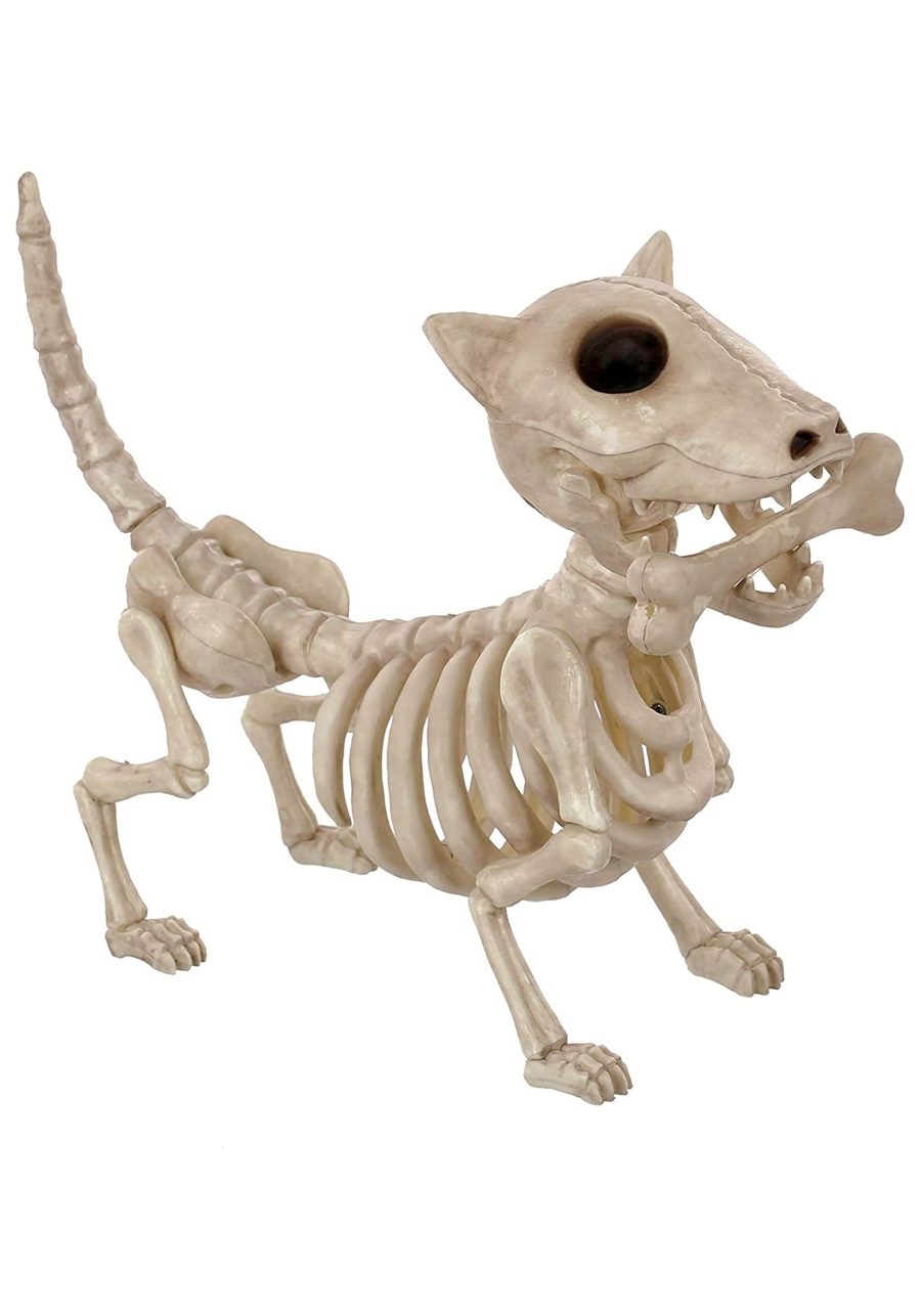 10.5 Inch Digger the Dog Skeleton Prop